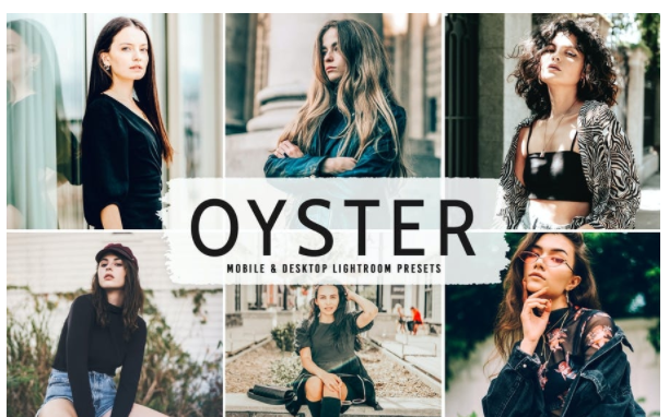 [Elements.Envato] Oyster Mobile & Desktop Lightroo_0.png